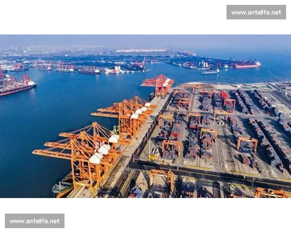 以激发社会发展内生动力为引擎推动高质量持续创新活力全面释放