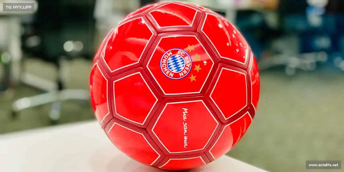 行业领先的理由